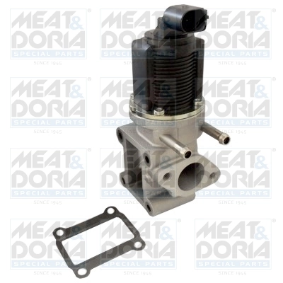 EGR Valve